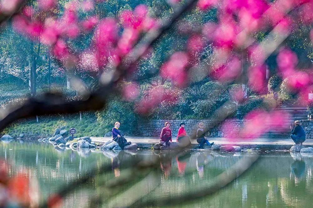 《黑土无言》大结局，王萍患癌死在牢中，杨四开包子铺成网红店