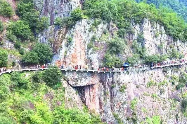 发现有趣冷知识,尽在为什么医保断交一年就在湘税社保交不了?平台